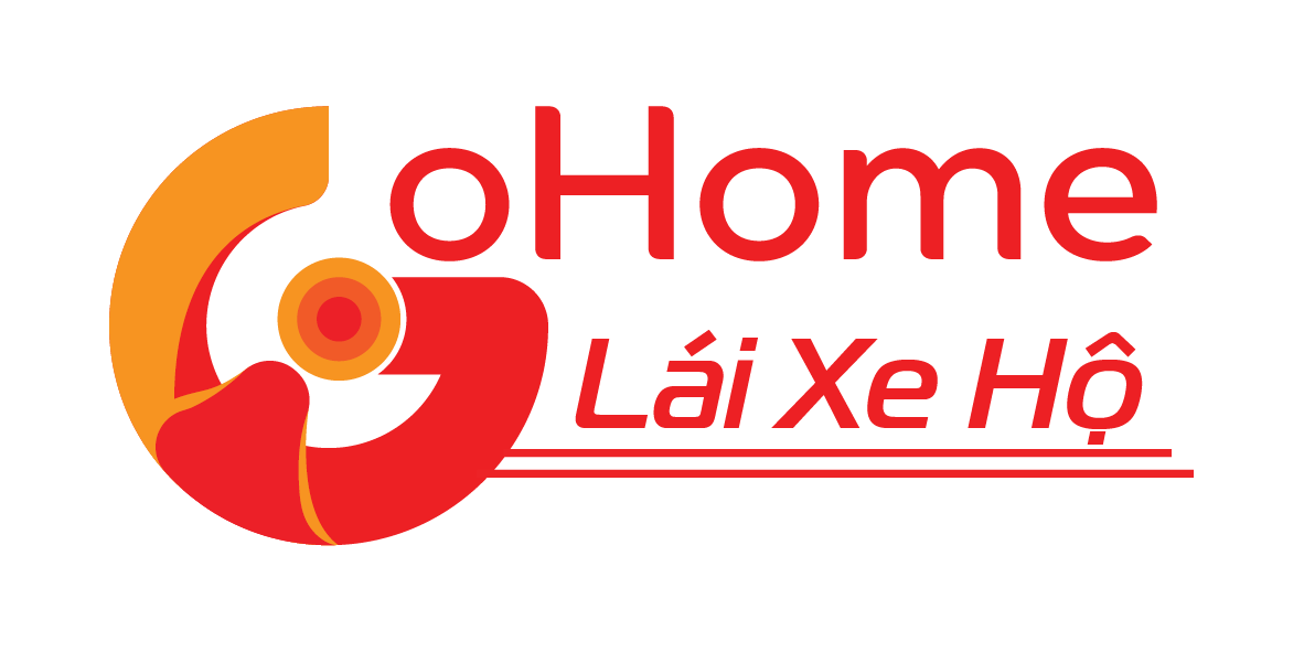 Lái Xe Hộ GoHome